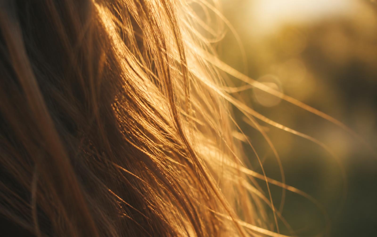Warm sunlight falling through long, healthy light-brown hair